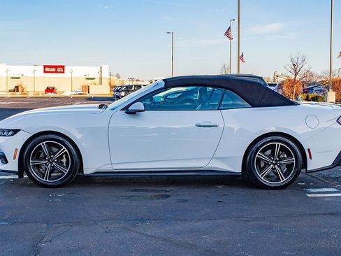 Used 2024 Ford Mustang Premium image 4