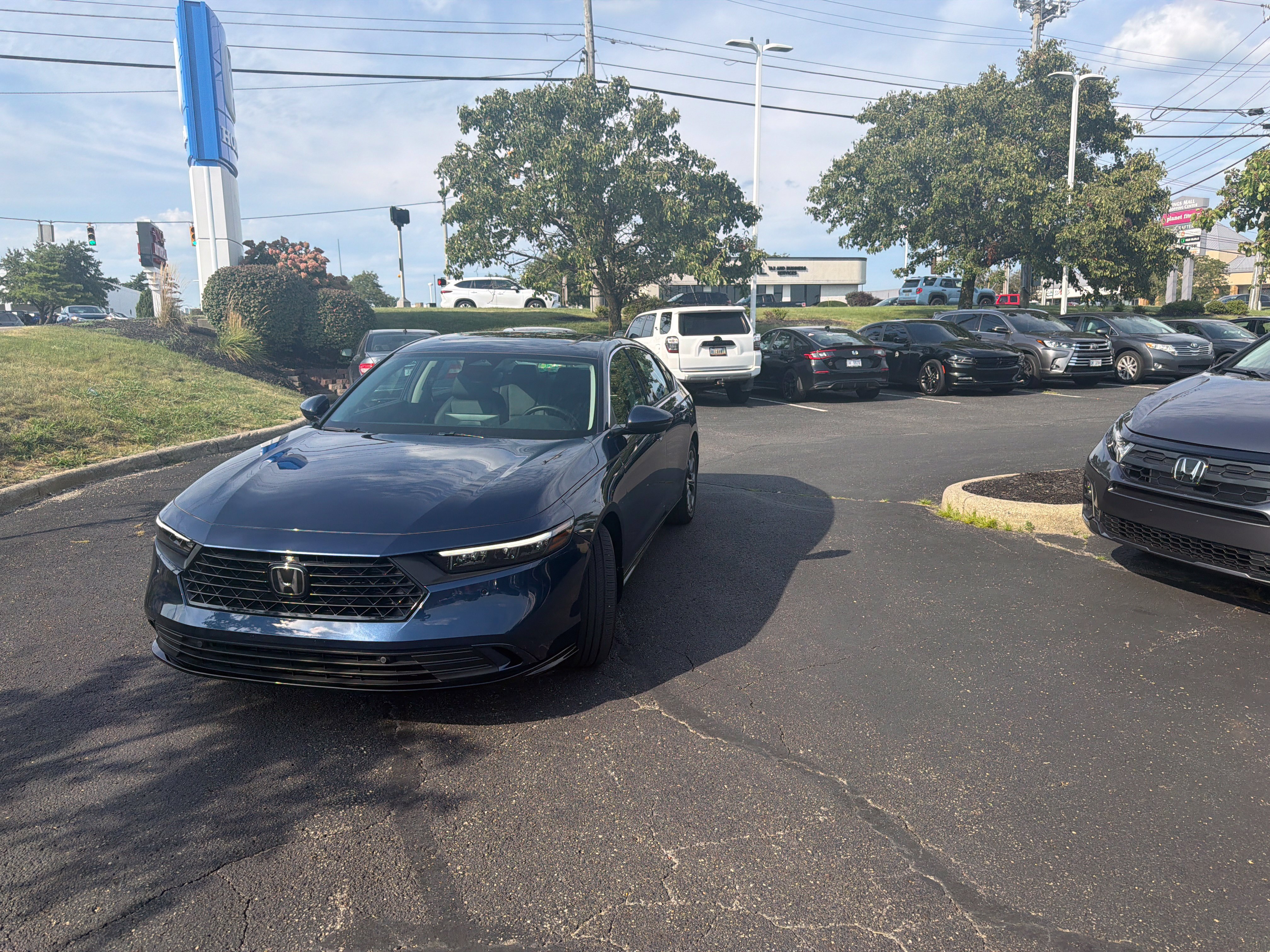 Used 2025 Honda Accord EX-L image 6