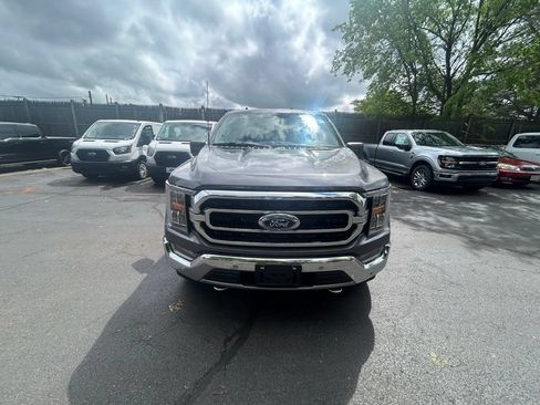 Used 2021 Ford F150 XLT w/ Equipment Group 302A High AWD/4WD image 2