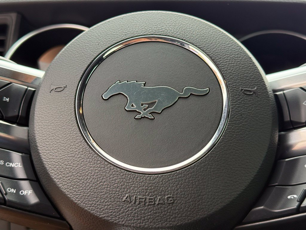 Used 2019 Ford Mustang GT w/ Black Accent Package RWD image 20