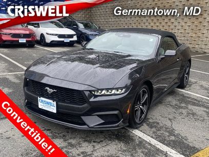 Used 2024 Ford Mustang Premium