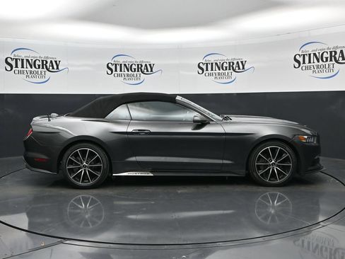 Used 2016 Ford Mustang Premium w/ Wheel & Stripe Package RWD image 8