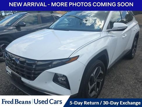 Used 2023 Hyundai Tucson Limited AWD/4WD image 3