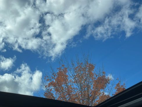 Certified 2024 Subaru Forester Wilderness image 24