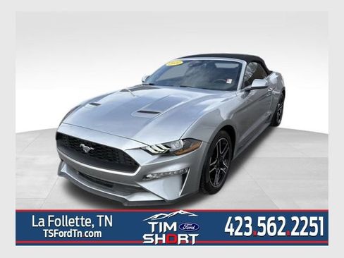 Used 2021 Ford Mustang Premium image 1