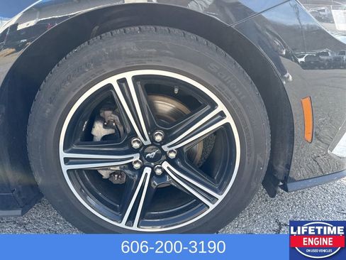 Used 2024 Ford Mustang Premium image 5