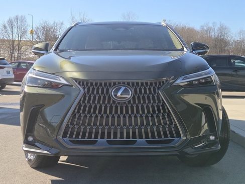Certified 2025 Lexus NX 300h AWD w/ Cold Area Package image 3