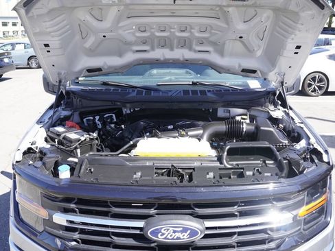 Used 2025 Ford F150 XLT w/ Equipment Group 301A Standard RWD image 24
