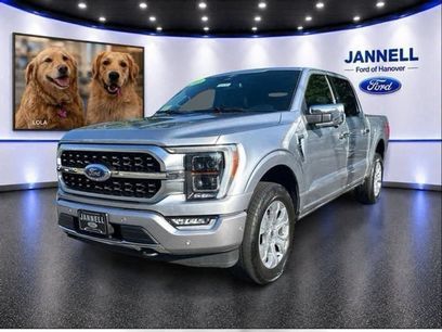 Used 2023 Ford F150 Platinum w/ Equipment Group 701A High