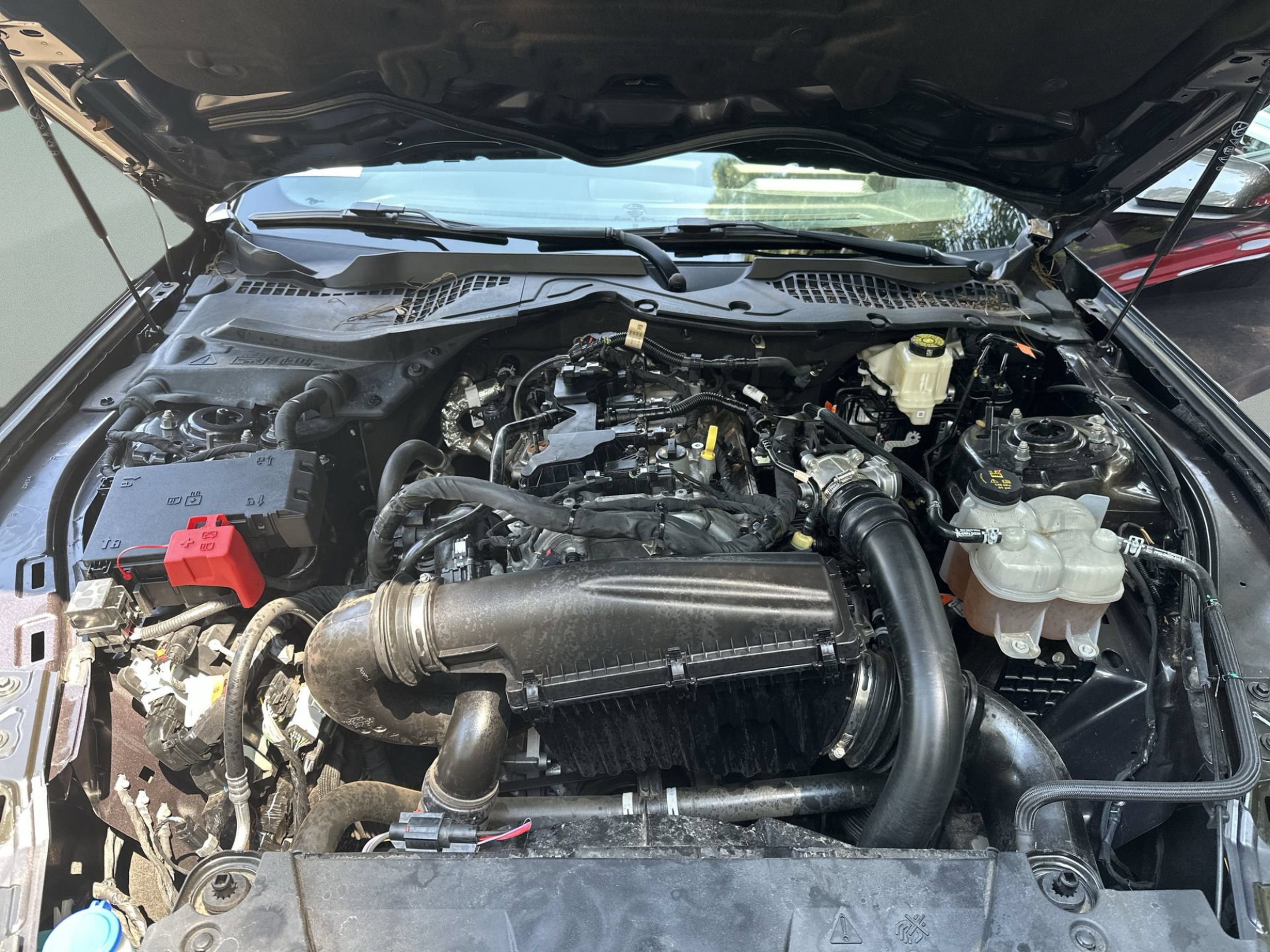 Used 2024 Ford Mustang Coupe RWD image 17