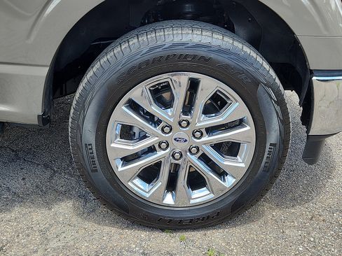 Used 2025 Ford F150 XLT w/ Equipment Group 303A High AWD/4WD image 8