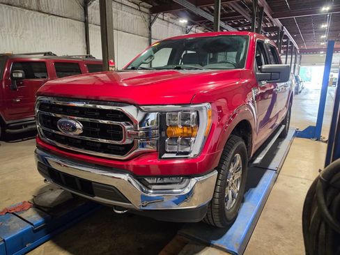 Used 2021 Ford F150 XLT w/ Equipment Group 302A High AWD/4WD image 1