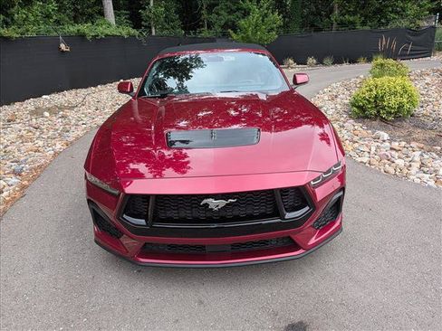 Used 2025 Ford Mustang GT Premium RWD image 8
