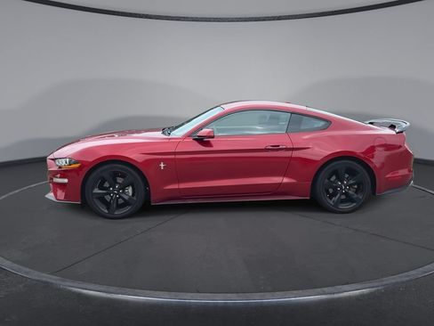 Used 2019 Ford Mustang Coupe RWD image 5