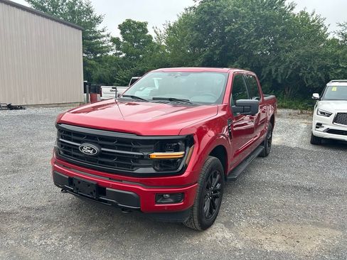 Used 2025 Ford F150 XLT w/ Equipment Group 303A High AWD/4WD image 2