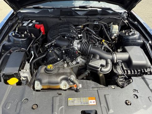 Used 2014 Ford Mustang Coupe w/ Equipment Group 102A RWD image 20