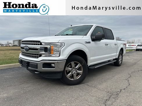 Used 2019 Ford F150 XLT w/ Equipment Group 302A Luxury image 1