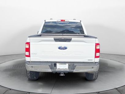 Used 2023 Ford F150 XL