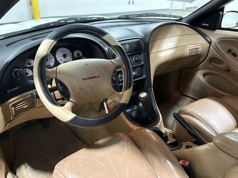 Used 1998 Ford Mustang Cobra image 10