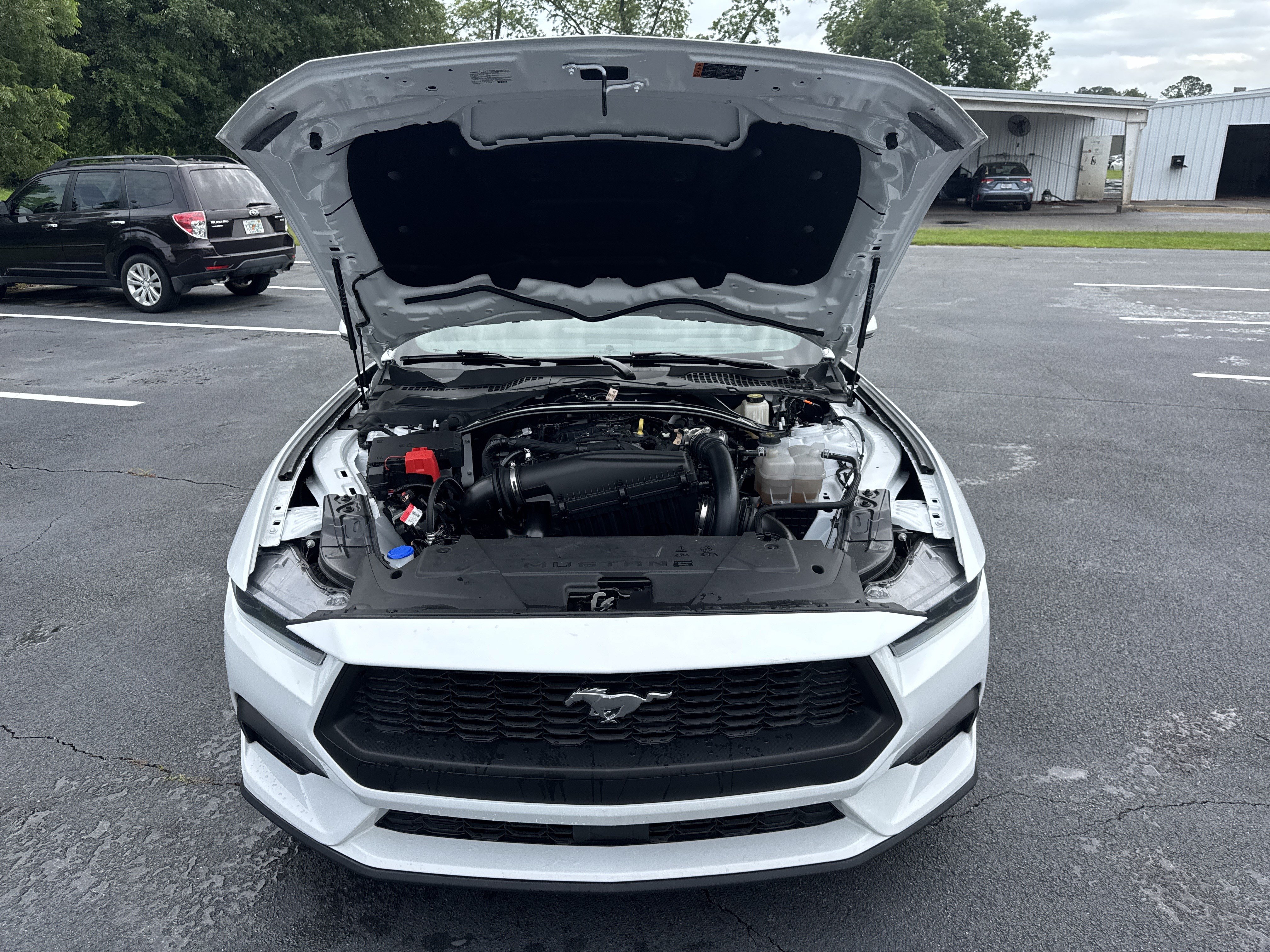 Used 2025 Ford Mustang Premium RWD image 31