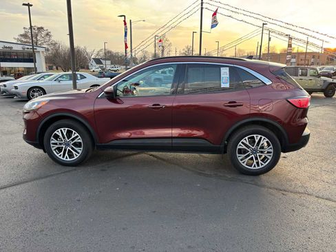 Used 2021 Ford Escape SEL w/ Equipment Group 302A image 1