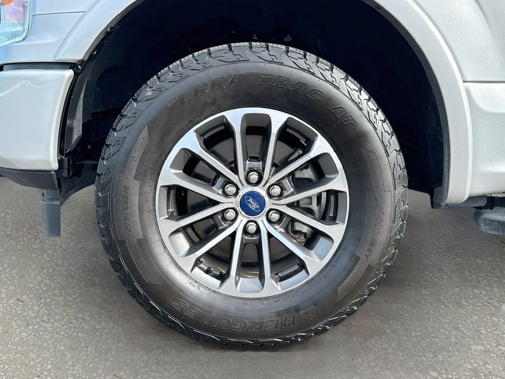 Used 2019 Ford F150 XLT w/ Equipment Group 302A Luxury AWD/4WD image 30