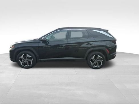 Used 2022 Hyundai Tucson Limited image 65