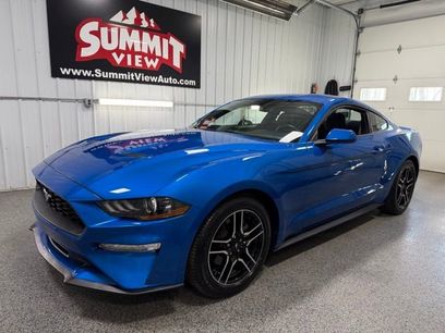 Used 2019 Ford Mustang Coupe w/ Equipment Group 101A
