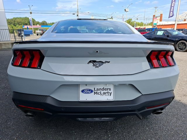 New 2026 Ford Mustang Coupe w/ Mustang Nite Pony Package RWD image 4