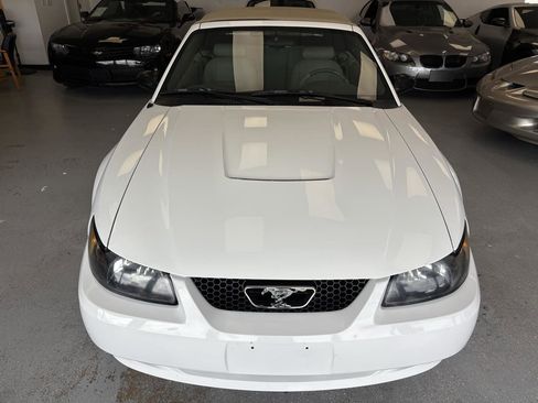 Used 2003 Ford Mustang Deluxe RWD image 2