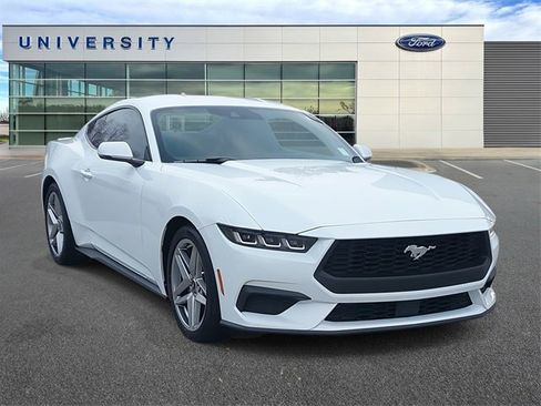 Used 2024 Ford Mustang Premium image 1