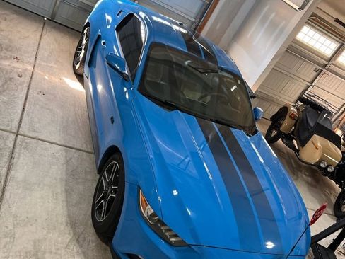 Used 2017 Ford Mustang Premium w/ Enhanced Security Package image 2