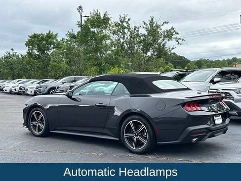 Used 2024 Ford Mustang Premium RWD image 4