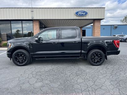 Used 2023 Ford F150 XLT w/ Equipment Group 302A High