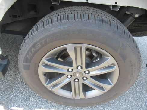 Used 2023 Ford F150 XLT w/ Equipment Group 302A High RWD image 11