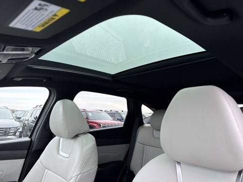 New 2026 Hyundai Tucson Limited image 3