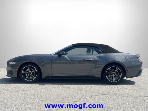 Used 2024 Ford Mustang Premium RWD image 21