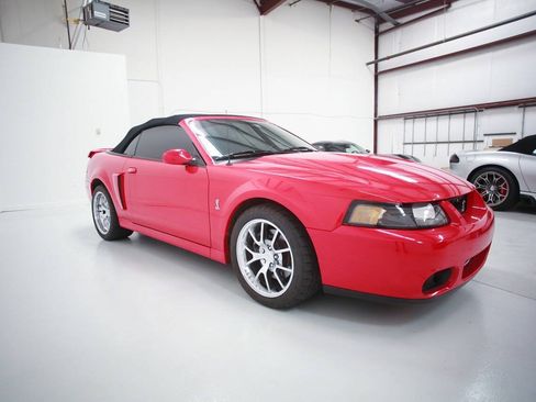 Used 2004 Ford Mustang Cobra RWD image 9