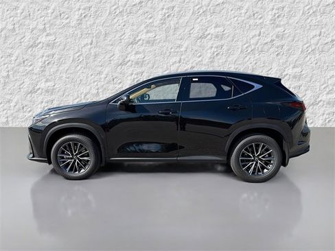 New 2026 Lexus NX 350h AWD w/ Premium Package image 6