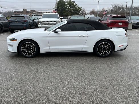 Used 2021 Ford Mustang Premium image 2