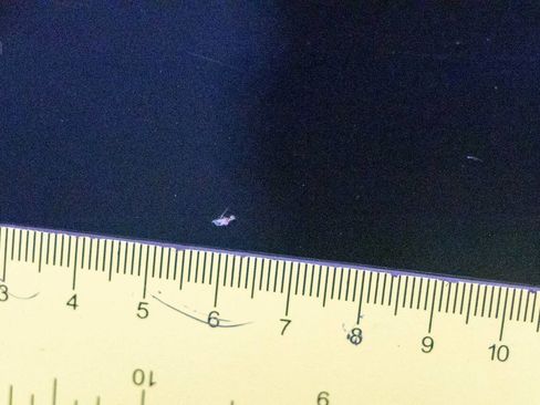 Used 2006 Mercedes-Benz CLS 55 AMG image 37