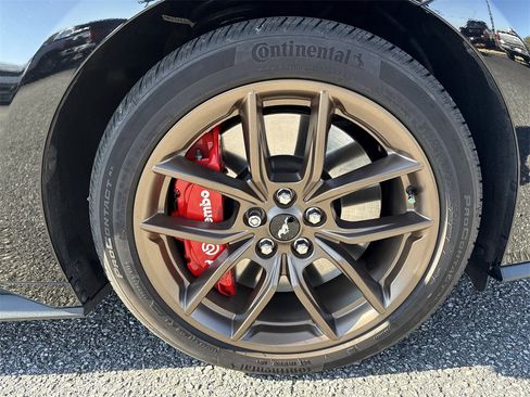 Used 2024 Ford Mustang GT Premium image 13