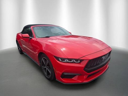 Used 2024 Ford Mustang Premium RWD image 5