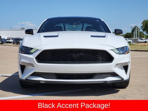 Used 2019 Ford Mustang Coupe w/ Black Accent Package RWD image 7