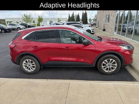 Used 2022 Ford Escape SE w/ Convenience Package image 2