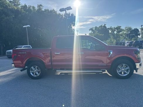 Used 2025 Ford F150 XLT w/ Equipment Group 301A Standard AWD/4WD image 8
