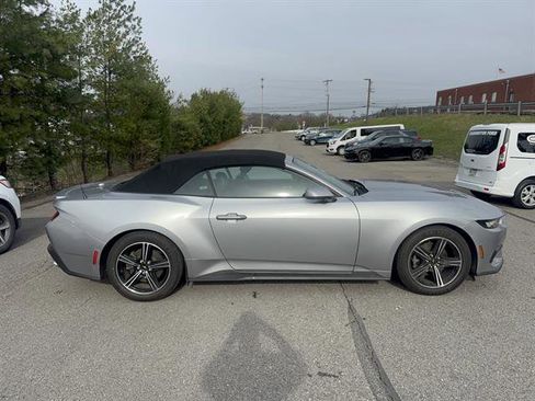 Used 2024 Ford Mustang Premium image 5