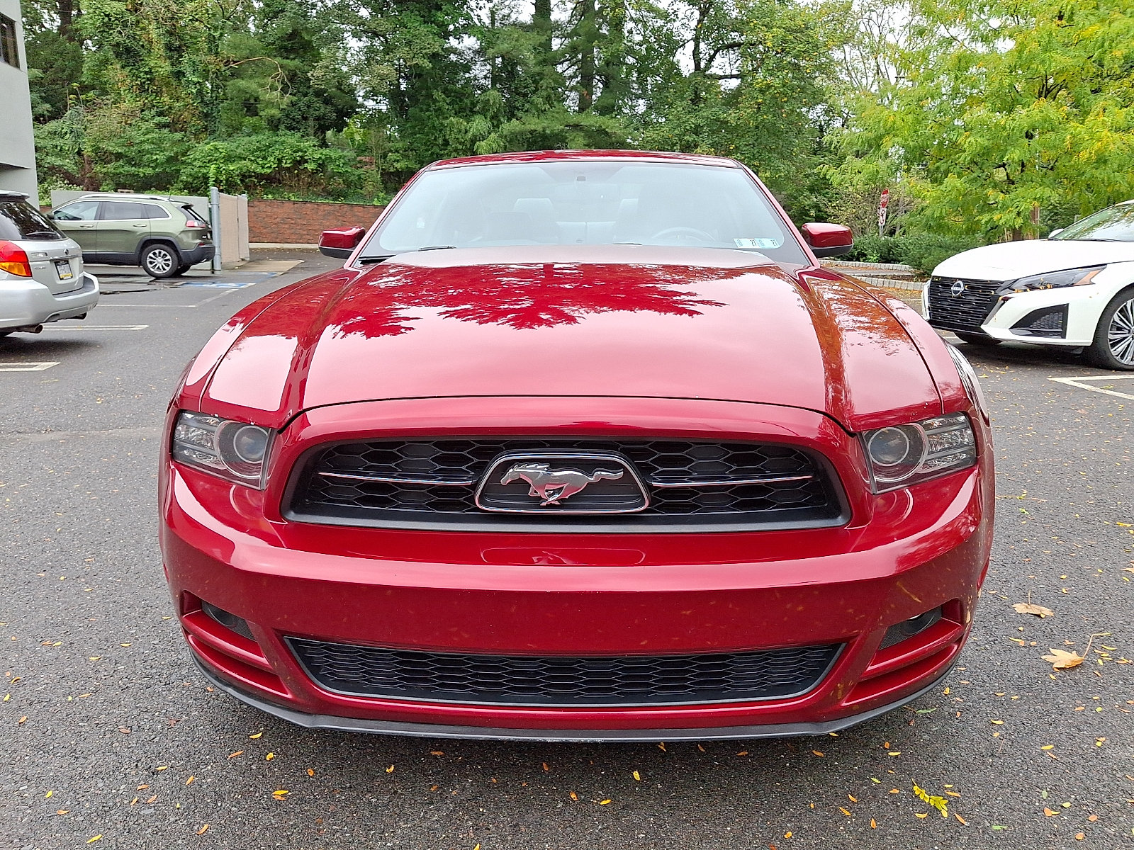 Used 2014 Ford Mustang Premium w/ Equipment Group 202A RWD image 2