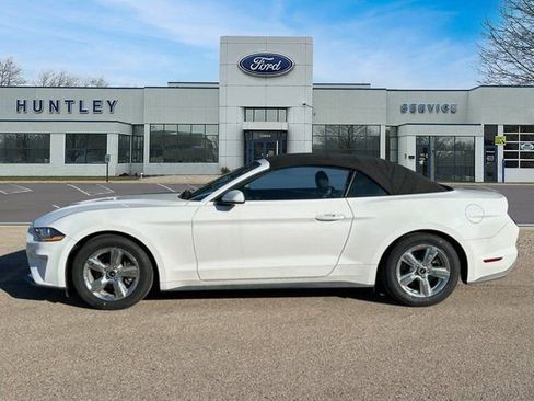 Used 2019 Ford Mustang Convertible image 6