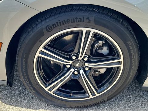 Used 2024 Ford Mustang Premium image 12